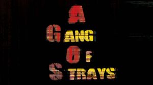 A Gang Of Strays