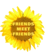 FriendsMeetFriends
